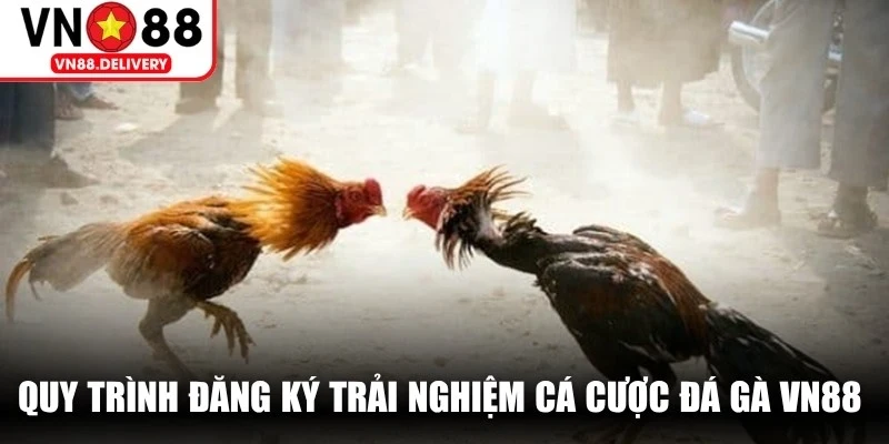 Quy trình đăng ký trải nghiệm cá cược đá gà VN88 vô cùng đơn giản