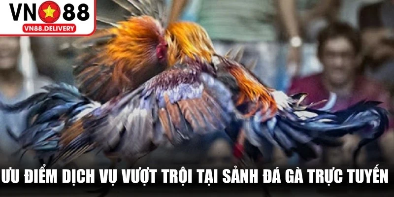 Ưu điểm dịch vụ vượt trội tại sảnh đá gà trực tuyến tại VN88