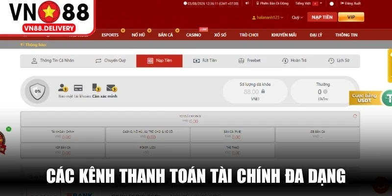Các kênh thanh toán tài chính đa dạng được tích hợp trên web